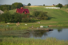 1c