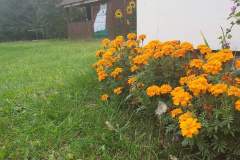 IMG-20220911-WA0004-1