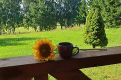 IMG-20220911-WA0014