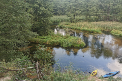 splywy-kajakowe-czarna-hancza-puszczanski-labirynt-as-tour