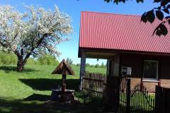 Domek-nowy-ale-jablon-100letnia
