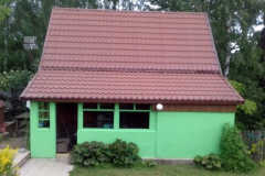 Zielony-2
