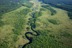 dolina-rospudy-meandry-widok-z-lotu-ptaka