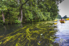 Kayaking on the Rospuda river, Poland