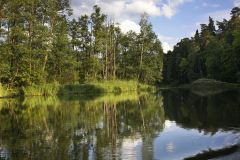 Rospuda river near Augustow. Poland