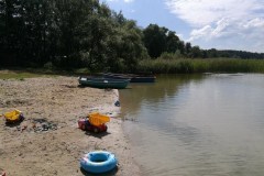 Szuwary