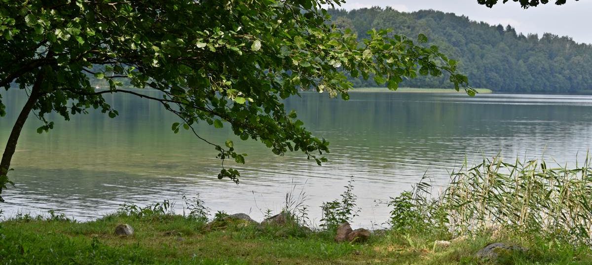 Suwalszczyzna.net: agroturystyka, domki nad jeziorem.